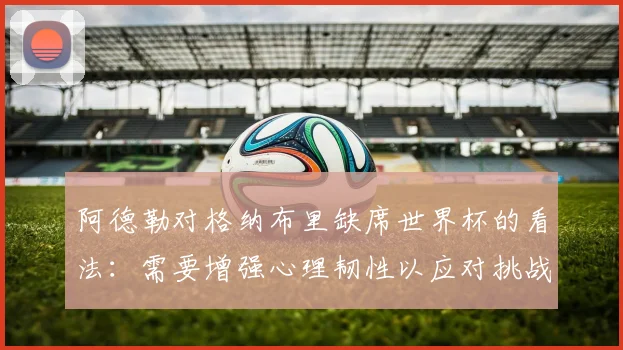 阿德勒对格纳布里缺席世界杯的看法：需要增强心理韧性以应对挑战