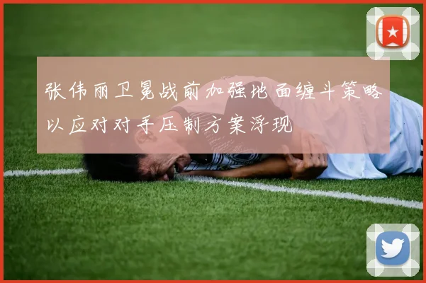 张伟丽卫冕战前加强地面缠斗策略以应对对手压制方案浮现